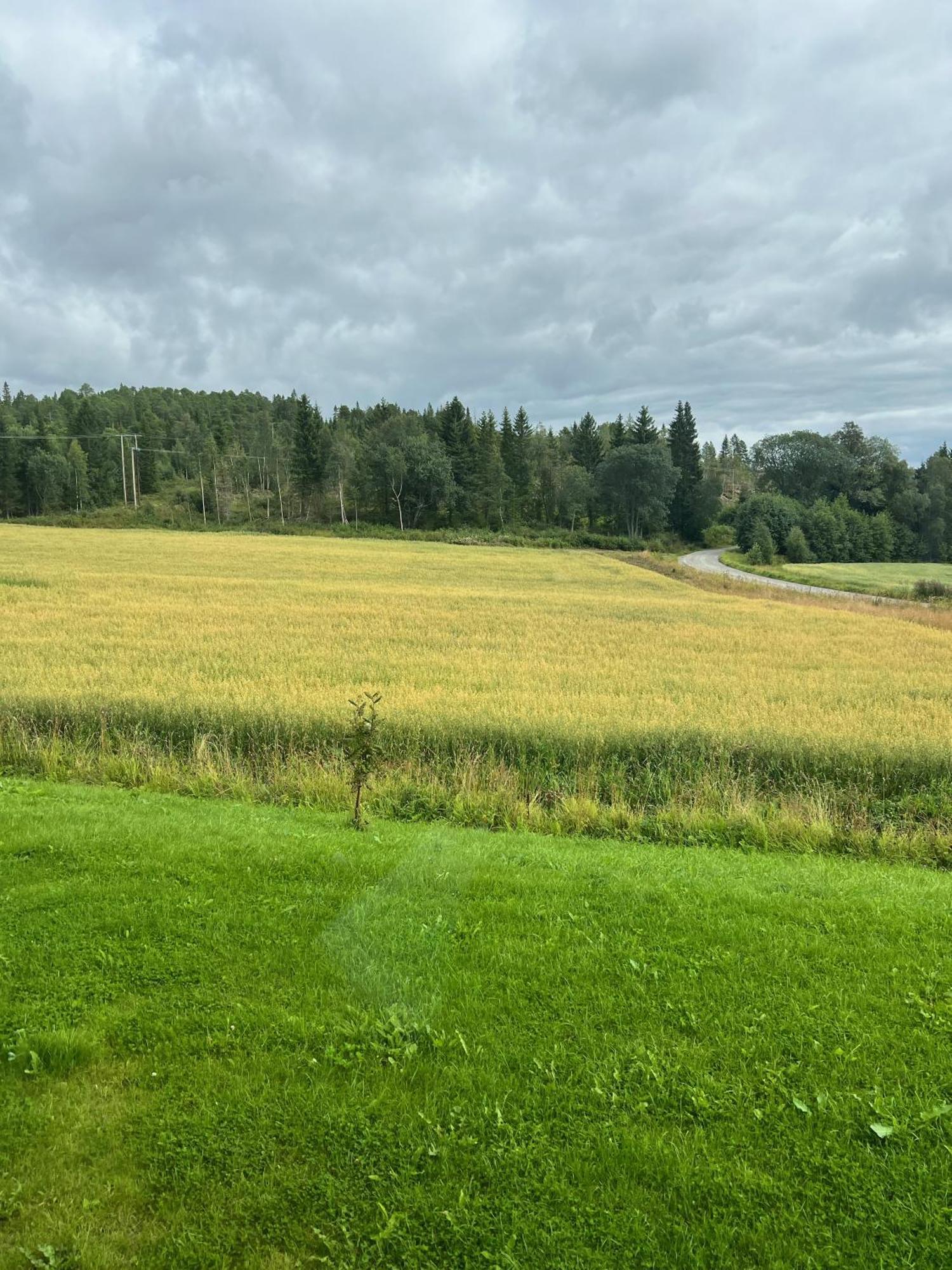 Fjellstad Gard - 2 Minutes From E6 And 5 Minutes Drive From Steinkjer City Villa Exterior foto